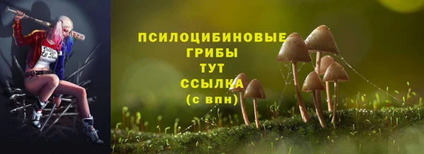 гидропоника Новозыбков