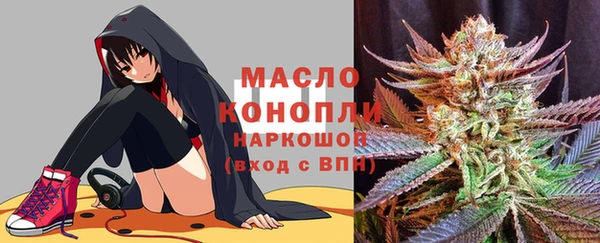 гидропоника Новозыбков