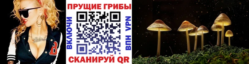 Псилоцибиновые грибы ЛСД  Менделеевск 