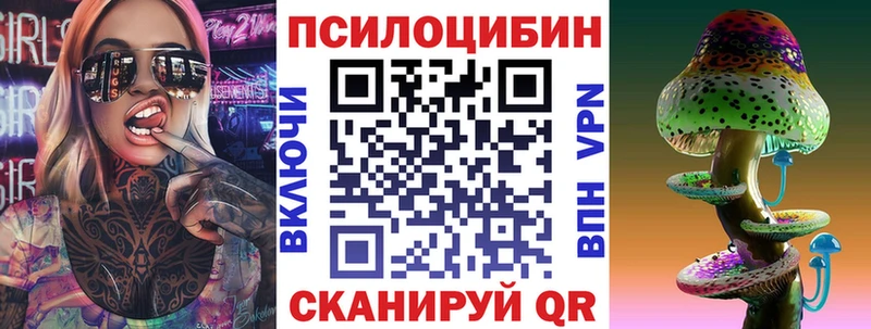 Псилоцибиновые грибы Psilocybe Менделеевск