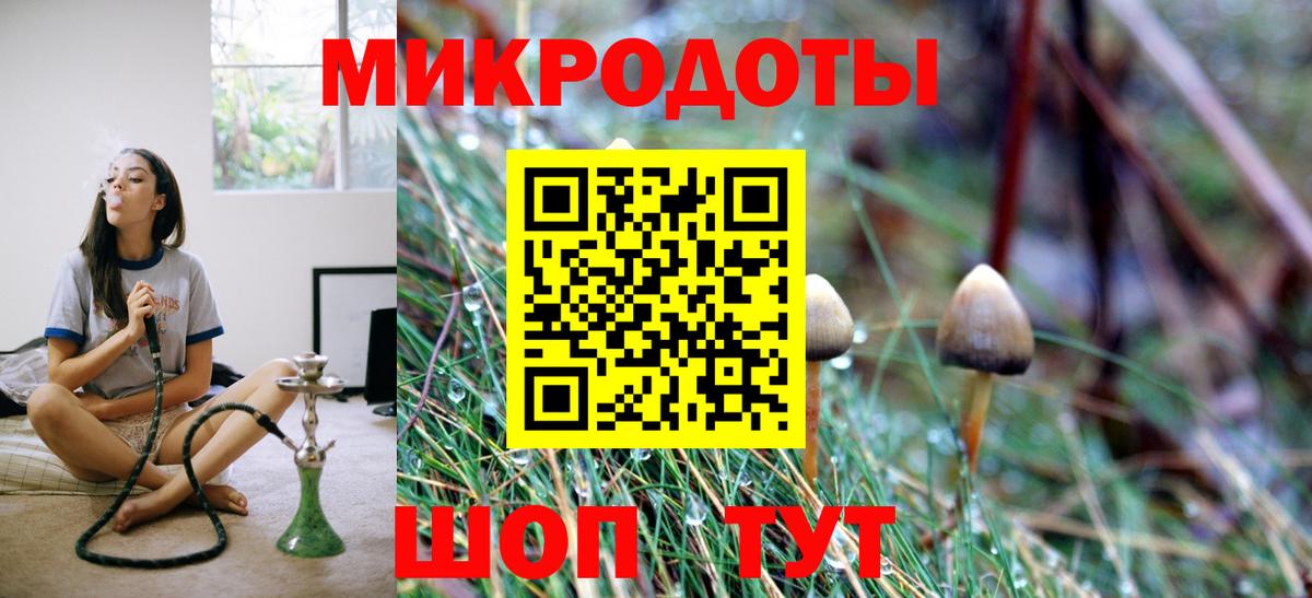 Менделеевск  Галлюциногенные грибы Cubensis  Вход с VPN 