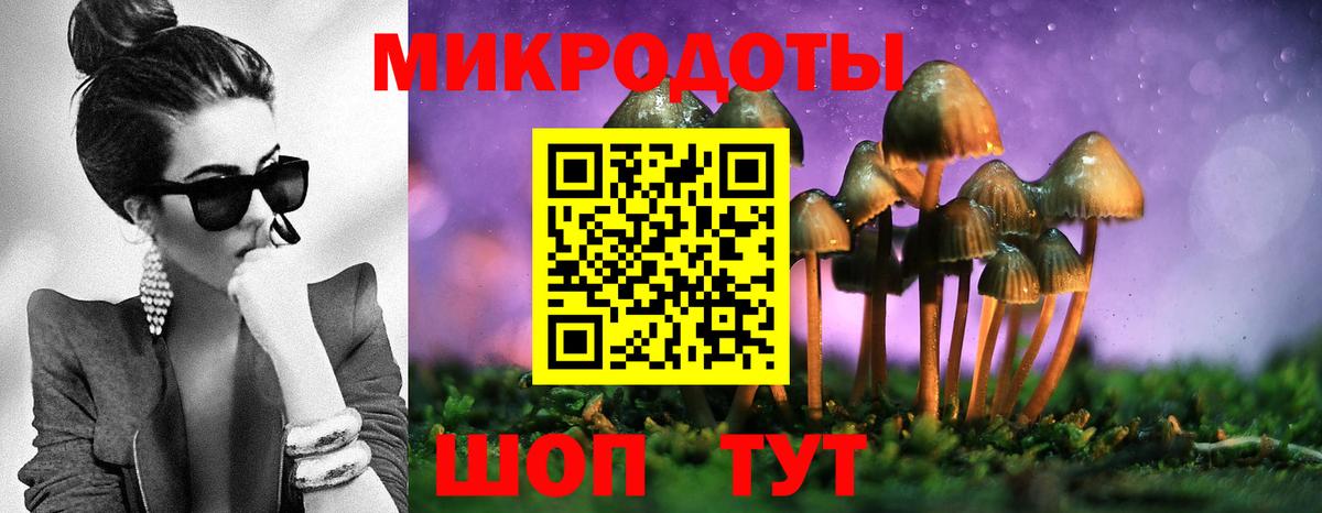 Псилоцибиновые грибы мицелий Менделеевск